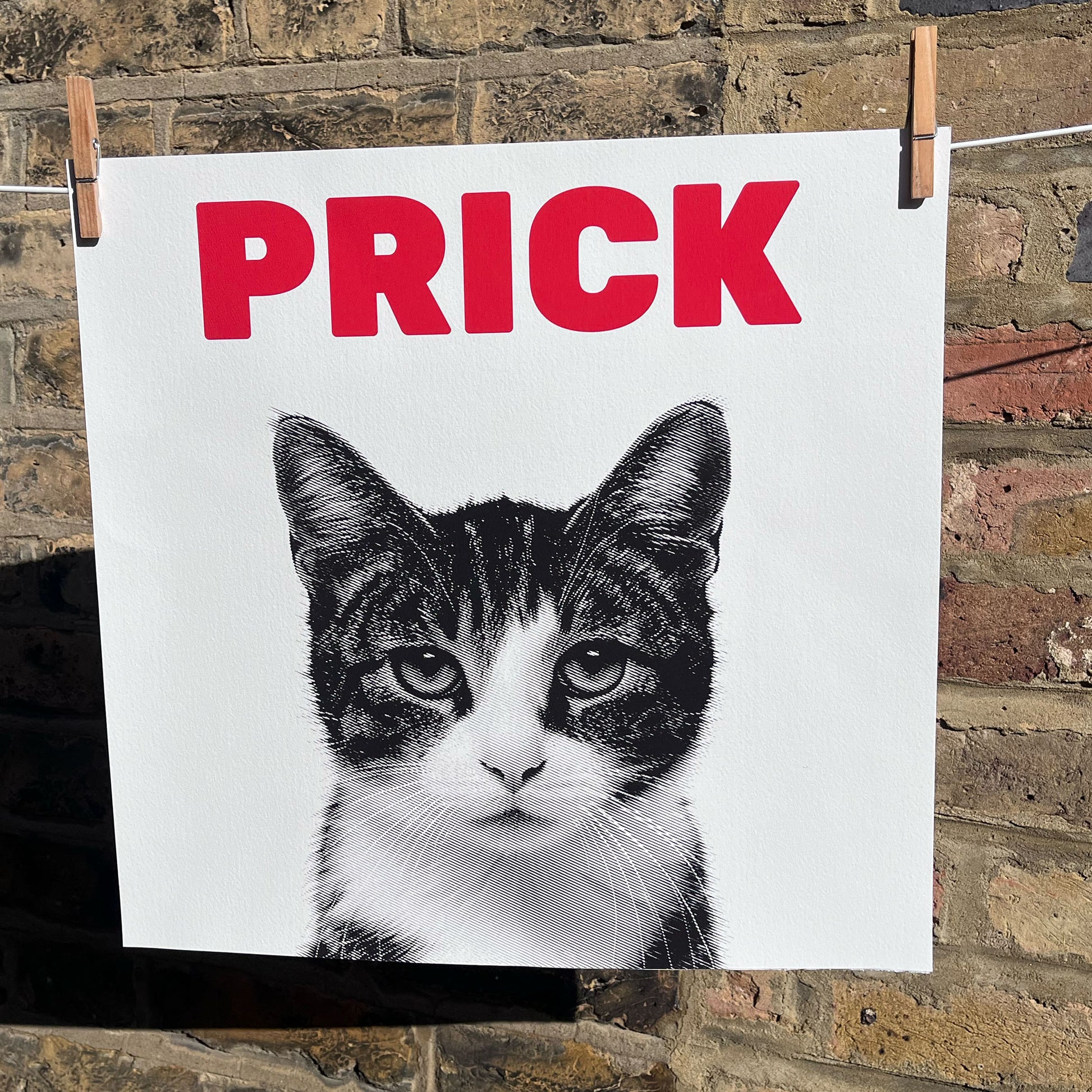 James Ra'ad Ward Funny Art Prints cat art prick front facing