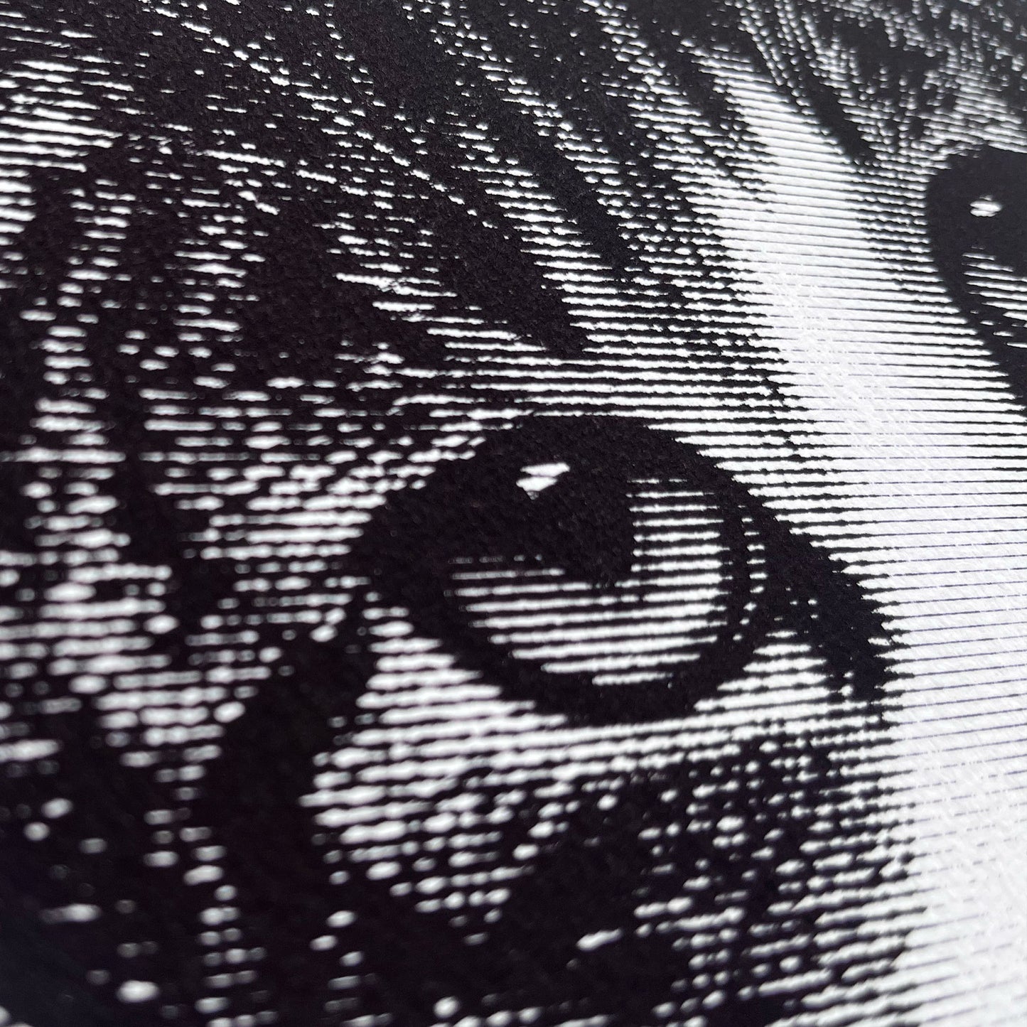 James Ra'ad Ward Funny Art Prints cat art prick close up