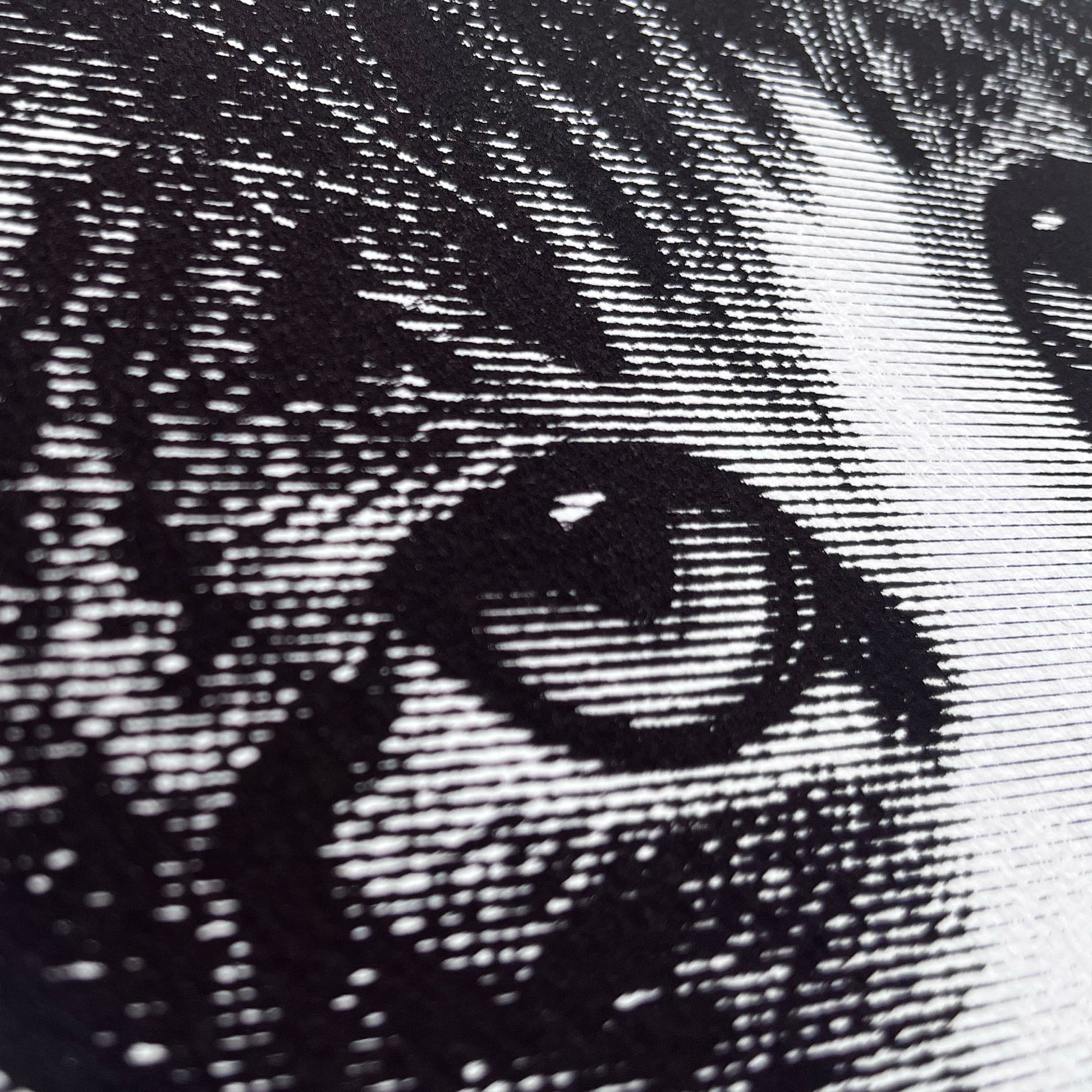 James Ra'ad Ward Funny Art Prints cat art prick close up
